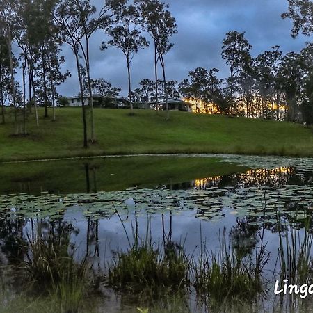 Linga Longa Spiritual Retreat Daire Curra Dış mekan fotoğraf
