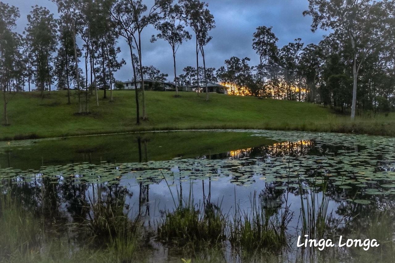Linga Longa Spiritual Retreat Daire Curra Dış mekan fotoğraf